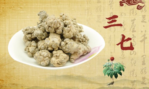 姜三七的正确使用方法-姜三七功效图片网姜三七图片大全知识网站,分享姜三七图片大全大全